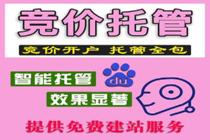 案例分析：百度推广托管如何实现高转化率